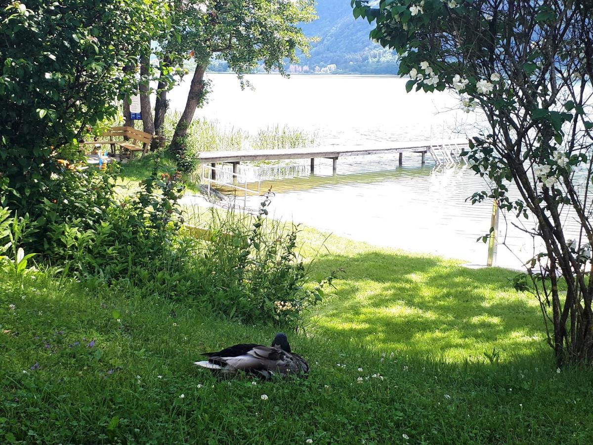 Anna Seeblick Appartement, Haus Haensel&Gretel Am Ossiachersee Mit Direktem Seezugang, Hallenbad Bodensdorf Exterior foto